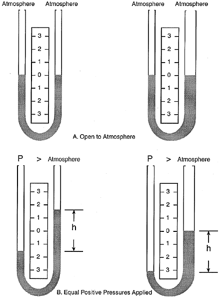 fig6.gif